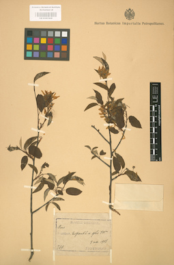 LE 01001848