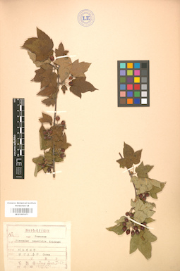 LE 01001871