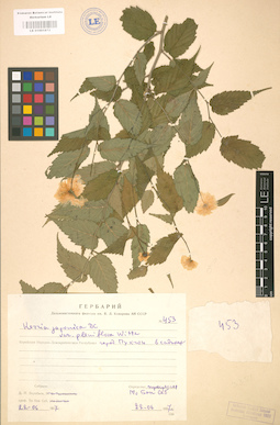 LE 01001872