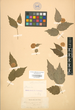LE 01001873