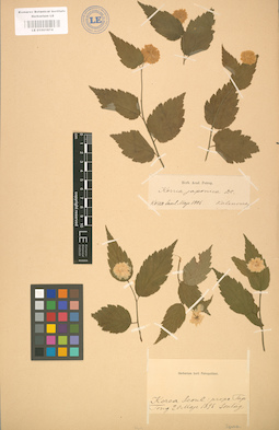 LE 01001874