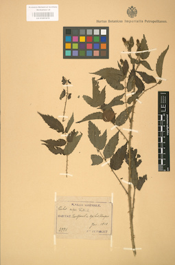LE 01001878