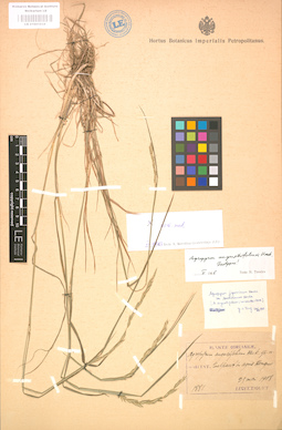 LE 01001934