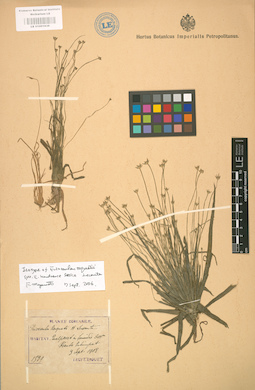 LE 01001939