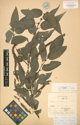 LE 01001949