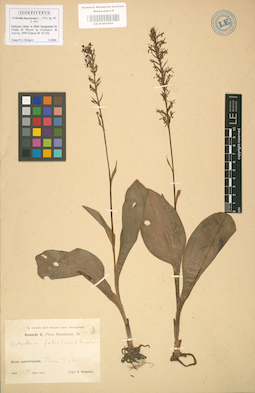 LE 01001950