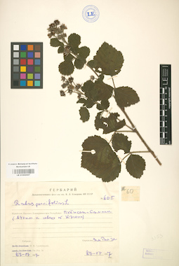 LE 01002007