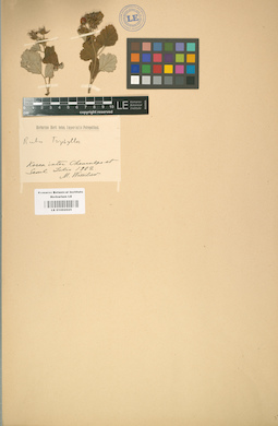 LE 01002025