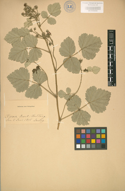 LE 01002026
