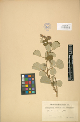 LE 01002028