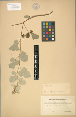 LE 01002029