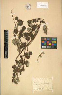 LE 01002032