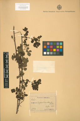 LE 01002034