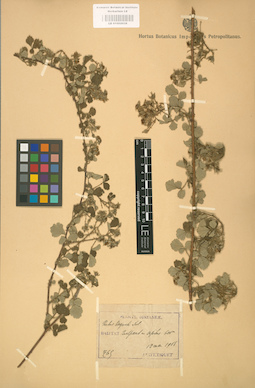 LE 01002038