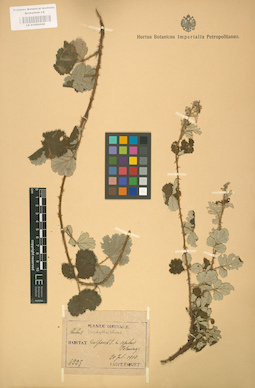 LE 01002040