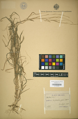 LE 01002050