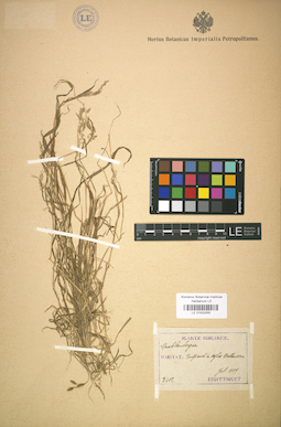 LE 01002055