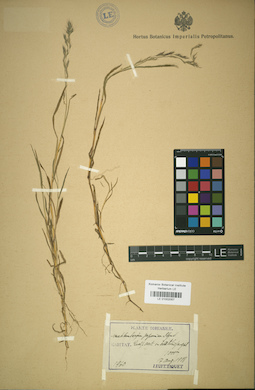 LE 01002057