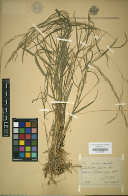LE 01002059