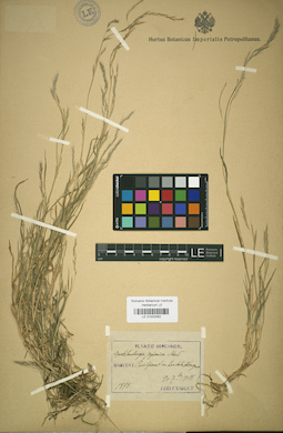 LE 01002062