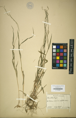 LE 01002063