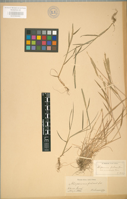 LE 01002065