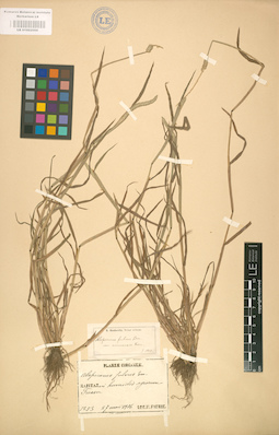 LE 01002066