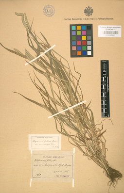 LE 01002067