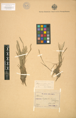 LE 01002068