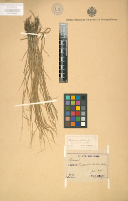 LE 01002069