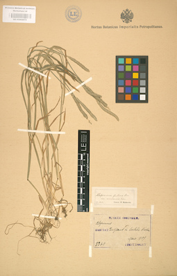 LE 01002070