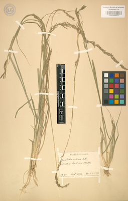 LE 01002073
