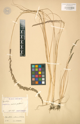 LE 01002074