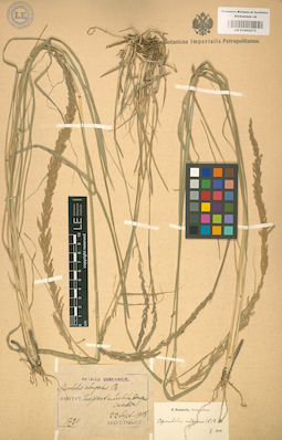 LE 01002075