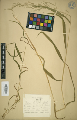 LE 01002077