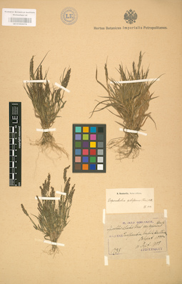 LE 01002078
