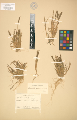 LE 01002079