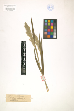 LE 01002080