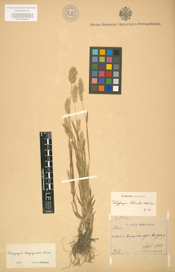 LE 01002081