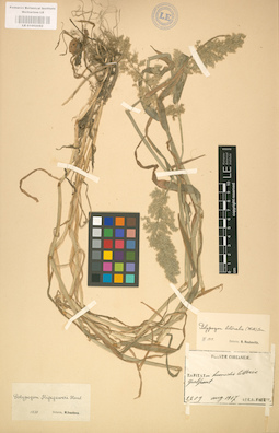 LE 01002082
