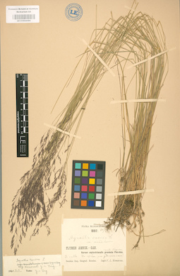 LE 01002086