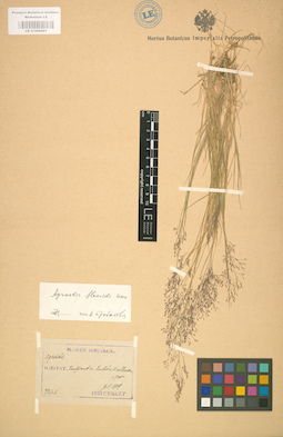 LE 01002091