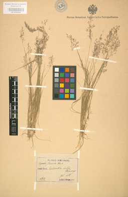 LE 01002092