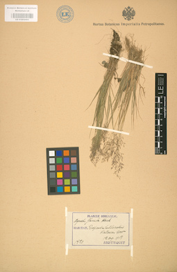 LE 01002093