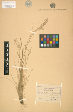 LE 01002095