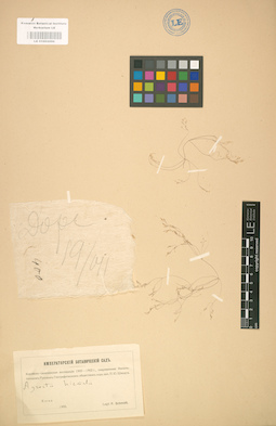 LE 01002096