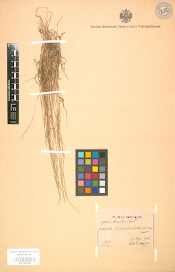 LE 01002098