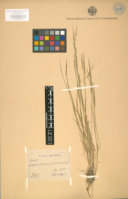 LE 01002103