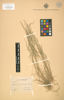 LE 01002104