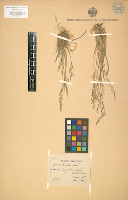 LE 01002108